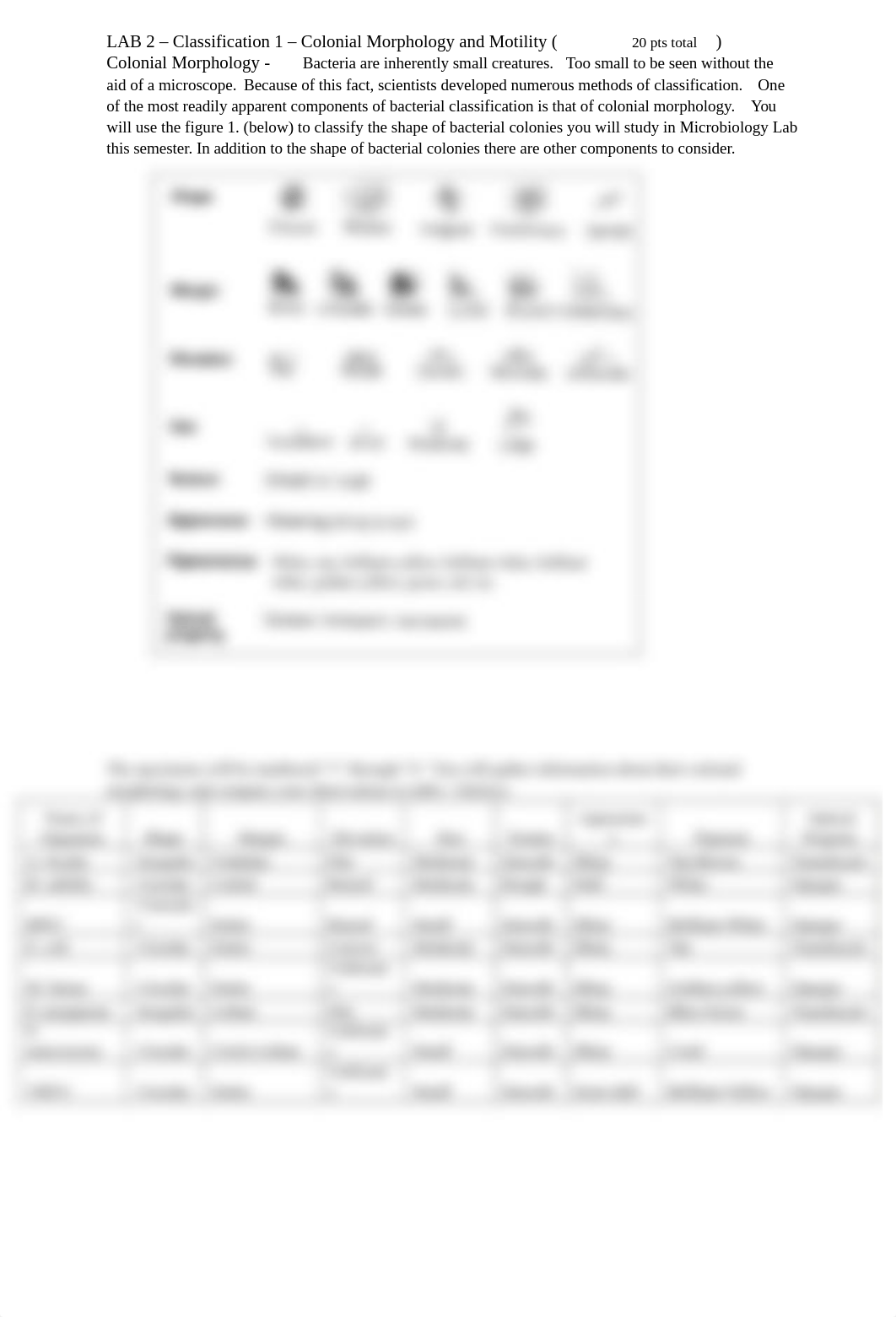 LAB 2 - Classification 1 Colonial Morphology and Motility Final Copy (1) (2).docx_dd4faqol4qd_page1