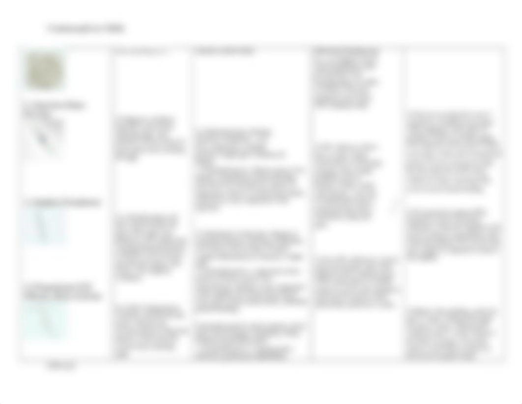 Student Activity Contraceptive Chart (1).docx_dd4vccb7tdv_page2