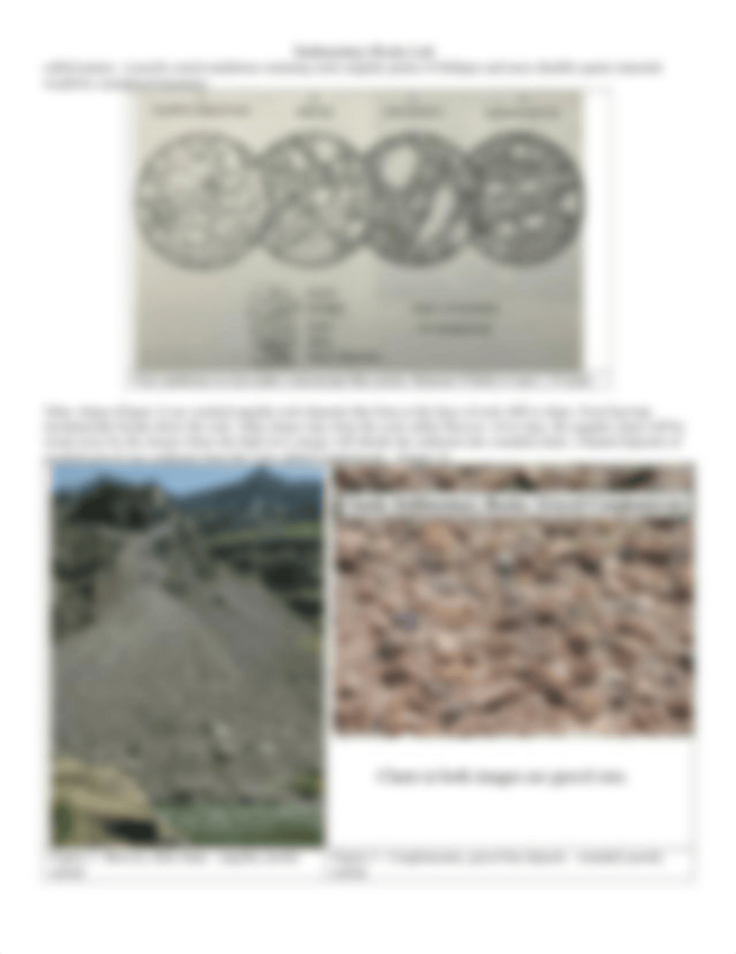 Sedimentary_Rocks_Lab2021.pdf_dd50gh9ax9j_page3