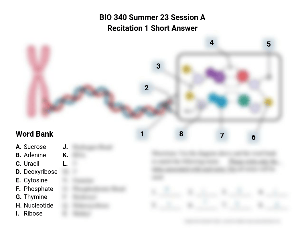 BIO 340 Rec 1 Abram Yevdayev.pdf_dd54ii527uk_page1