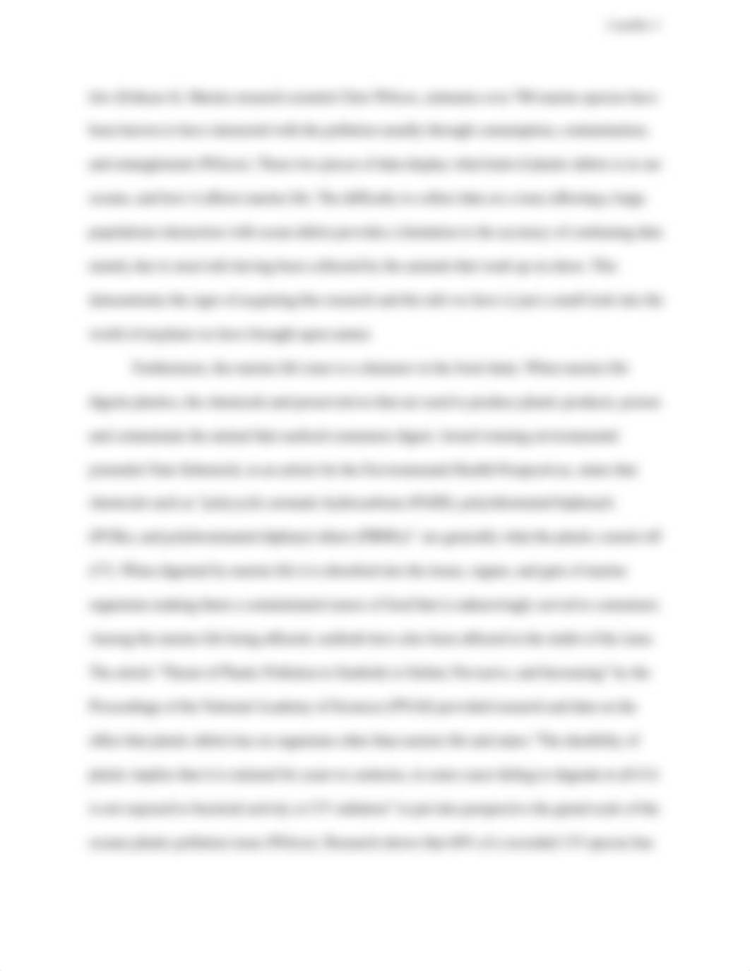 Castillo essay 2 FR.docx_dd57d3k2j8t_page3