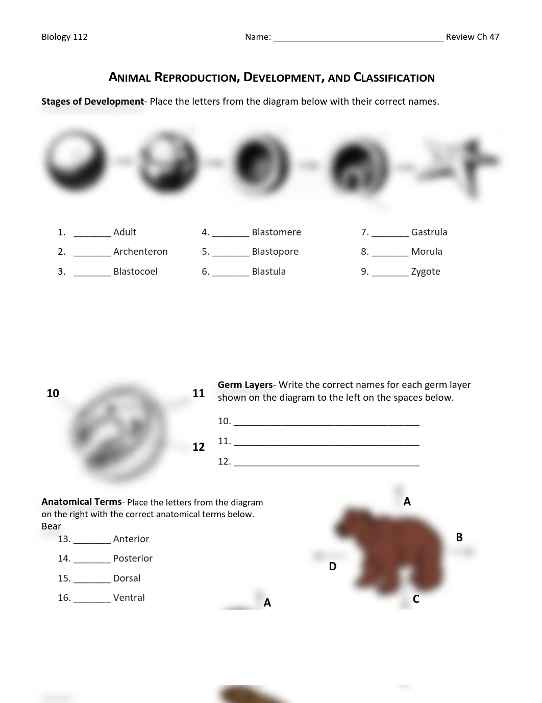 Animal Reproduction  _  Review Worksheet.pdf_dd5c66p6pwt_page1