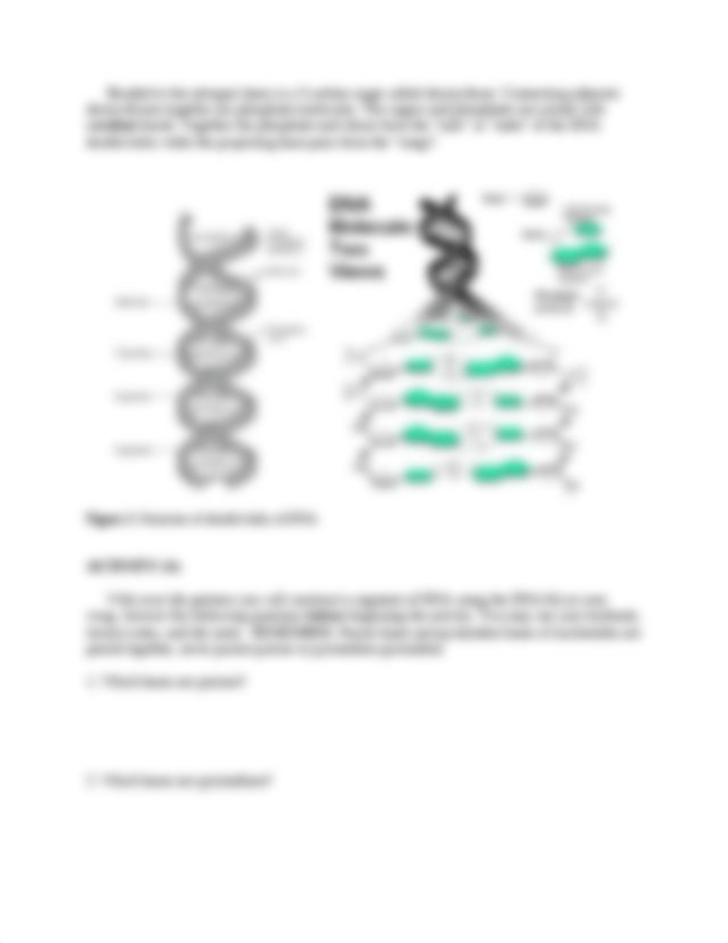 DNA&Gel Electrophoreis Lab handout.Fa17(1).docx_dd5cmaf78qk_page3