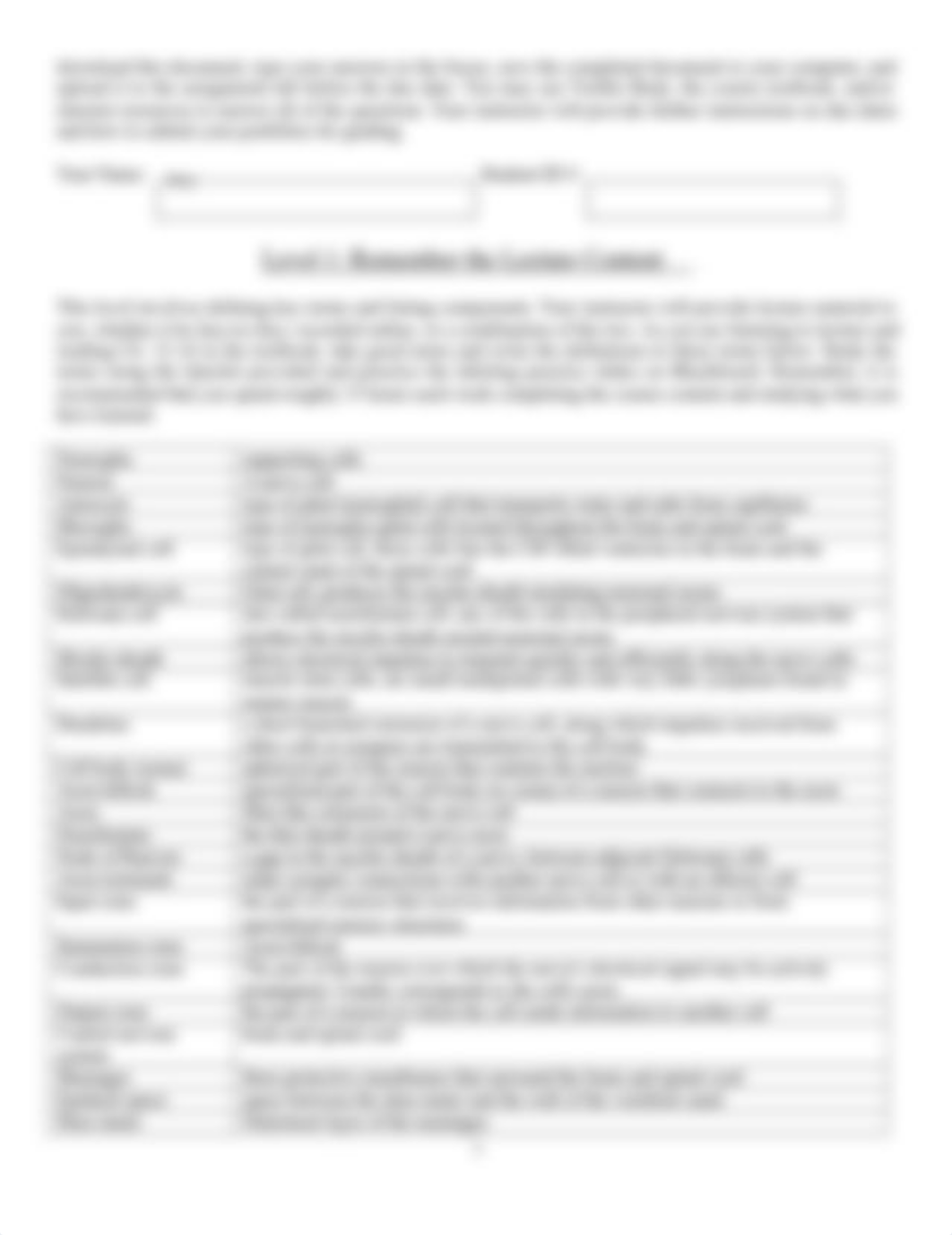 Nervous System Portfolio Key Updated(1).docx_dd5d2qazm23_page2