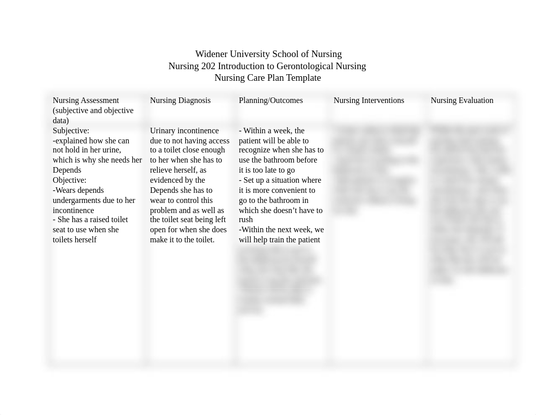 ncp incontinence.doc_dd5he2gsyg1_page1