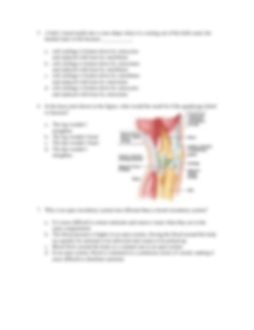 BIO-102 Chapter 41, 33 and 34 Applied Questions Answer Key.docx_dd5oku306r6_page2