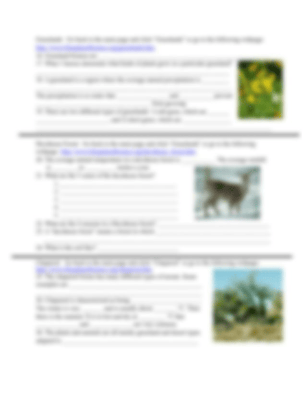 Kami Export - Traven Bennett - Biome-webquest-use.pdf_dd5ro0qiy0o_page2