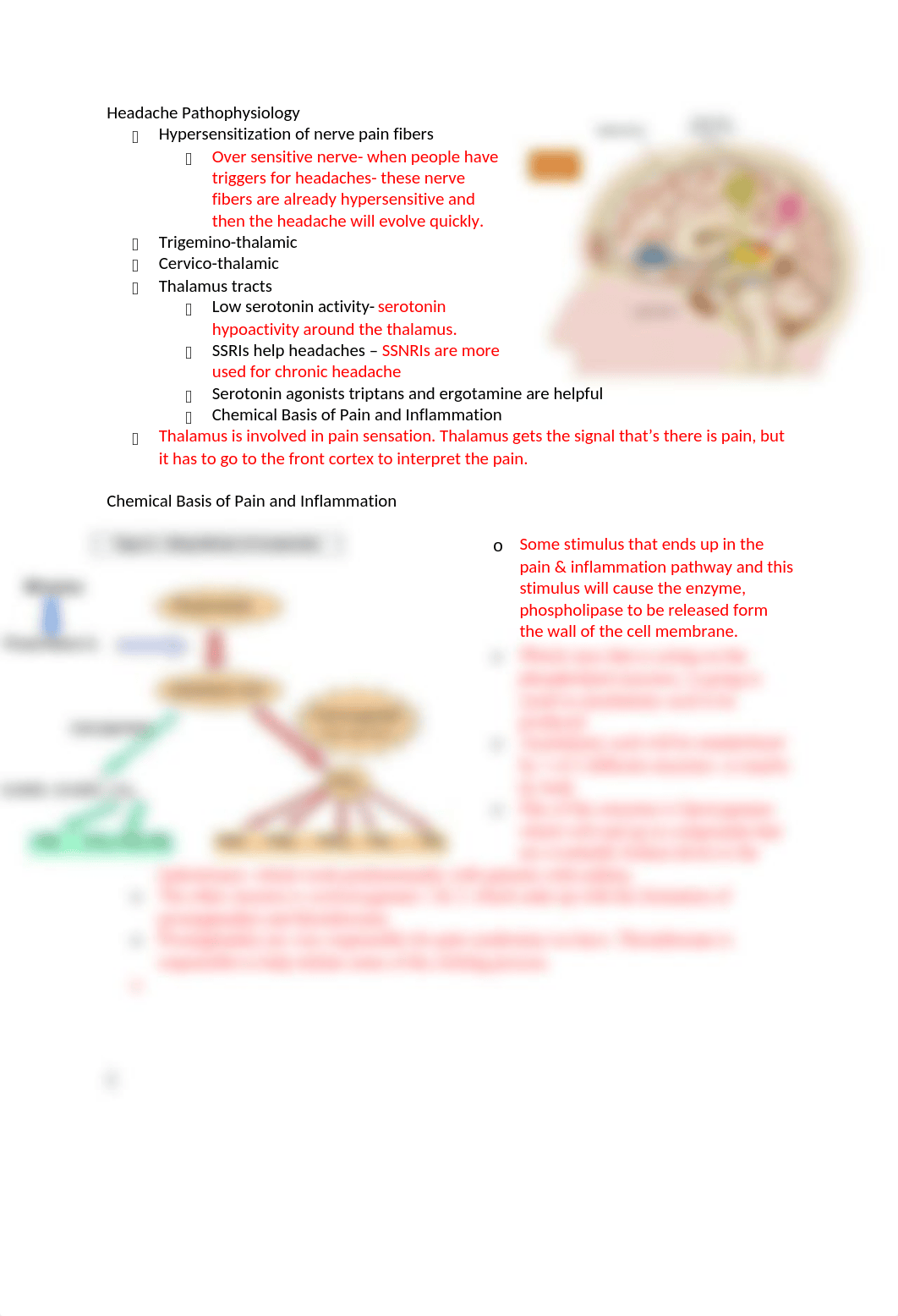 Pharmacotherapeutic Agents Used in Neurologic Disorders-  Headache .docx_dd5xo0o7umx_page2