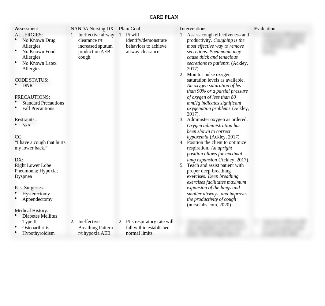 1st care plan for prig.doc_dd5zkruux72_page1