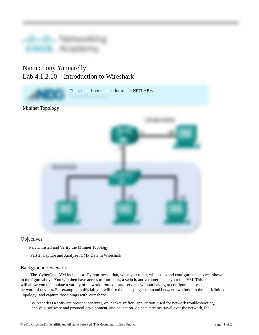 CNIT 300 CyberOps Chapter 4 Lab 1.docx_dd608dire1e_page1