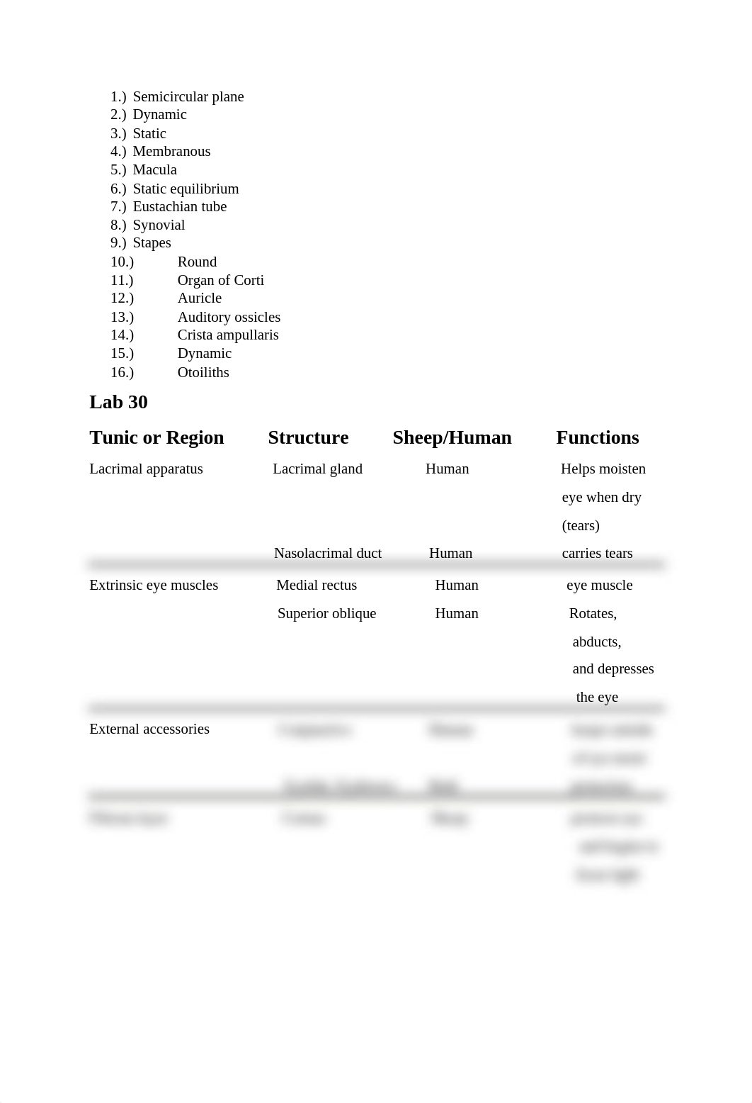 Lab Exercises 28 and 30 Report.docx_dd6g4qi14cw_page2