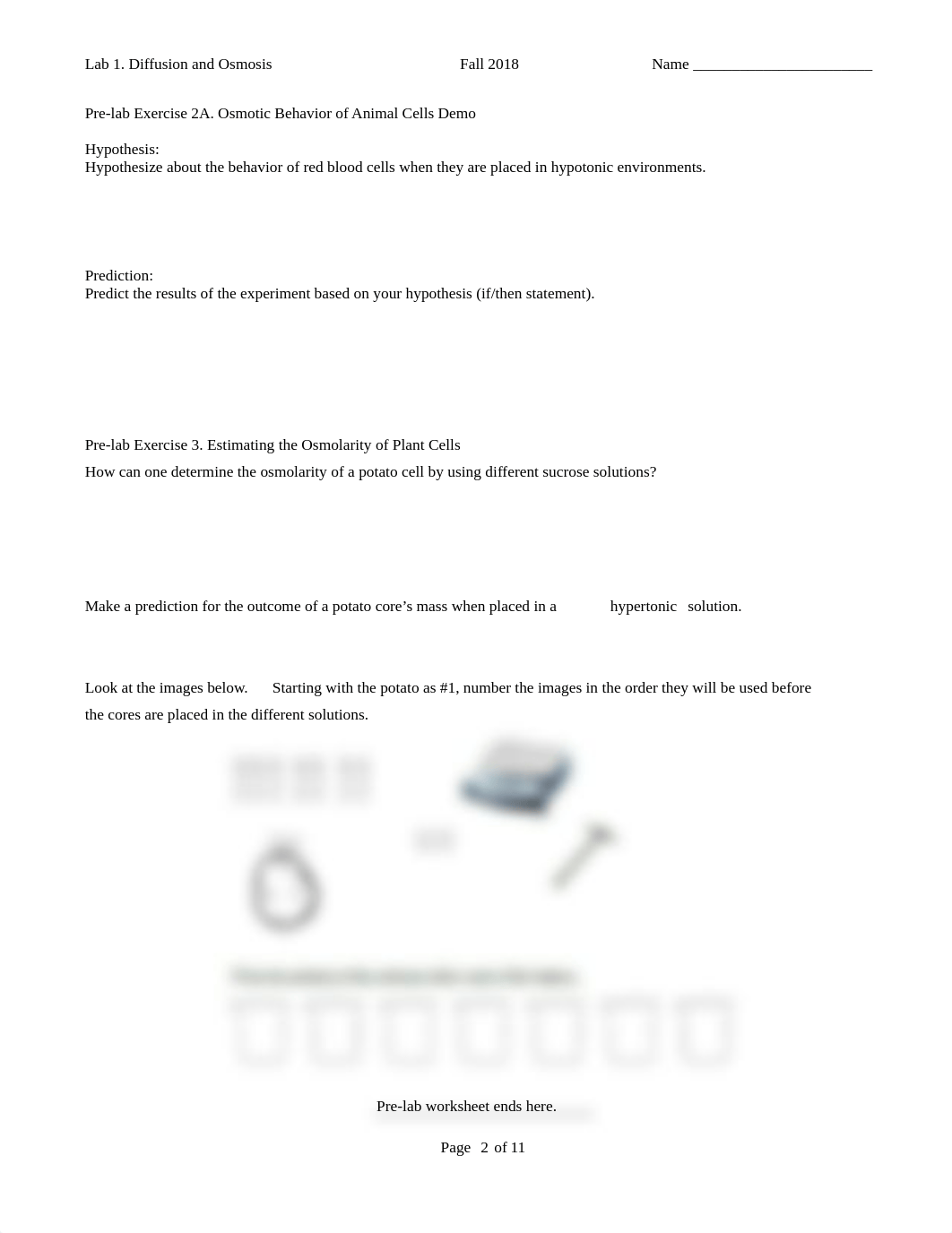 Lab 1 Diffusion and Osmosis Bio61 F2018 (2).docx_dd6hnva2ctm_page2