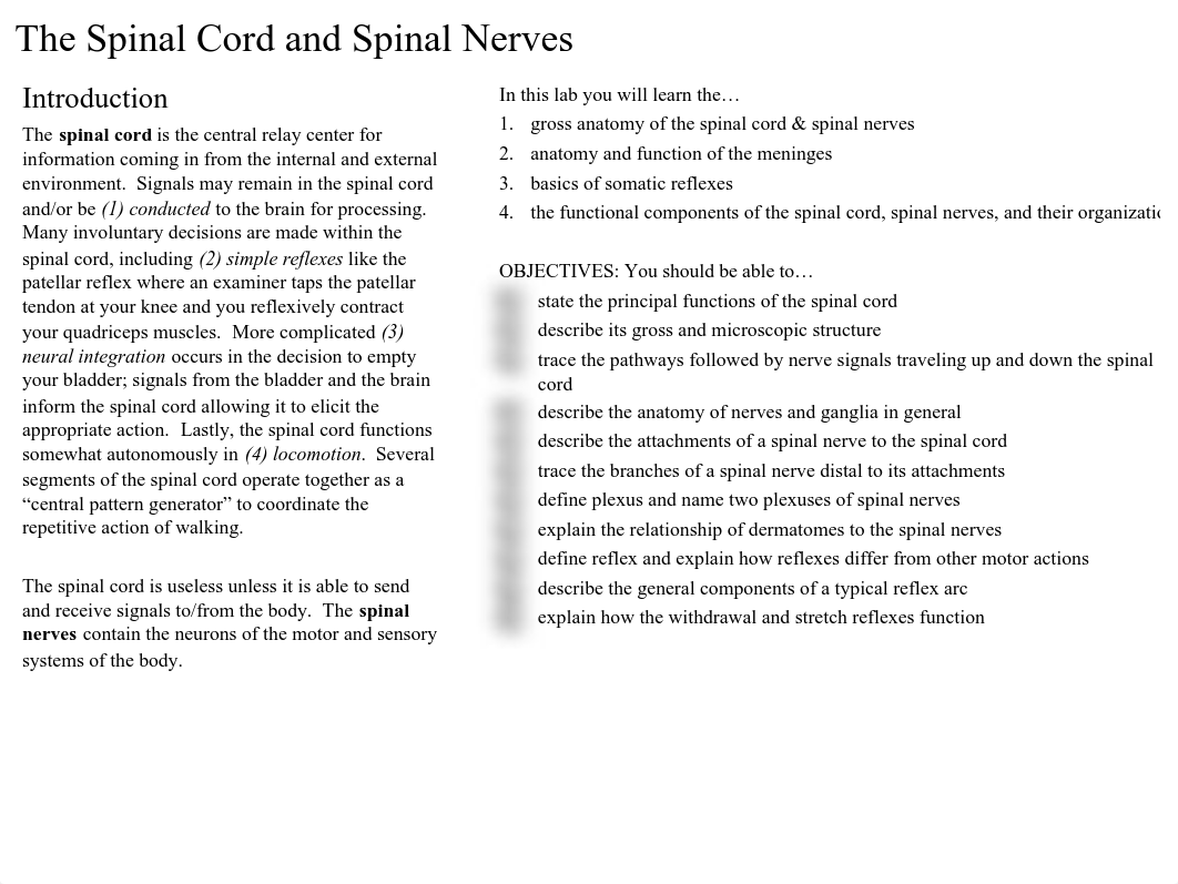 01 Spinal Cord and Nerves.pdf_dd6nyyczl6e_page2