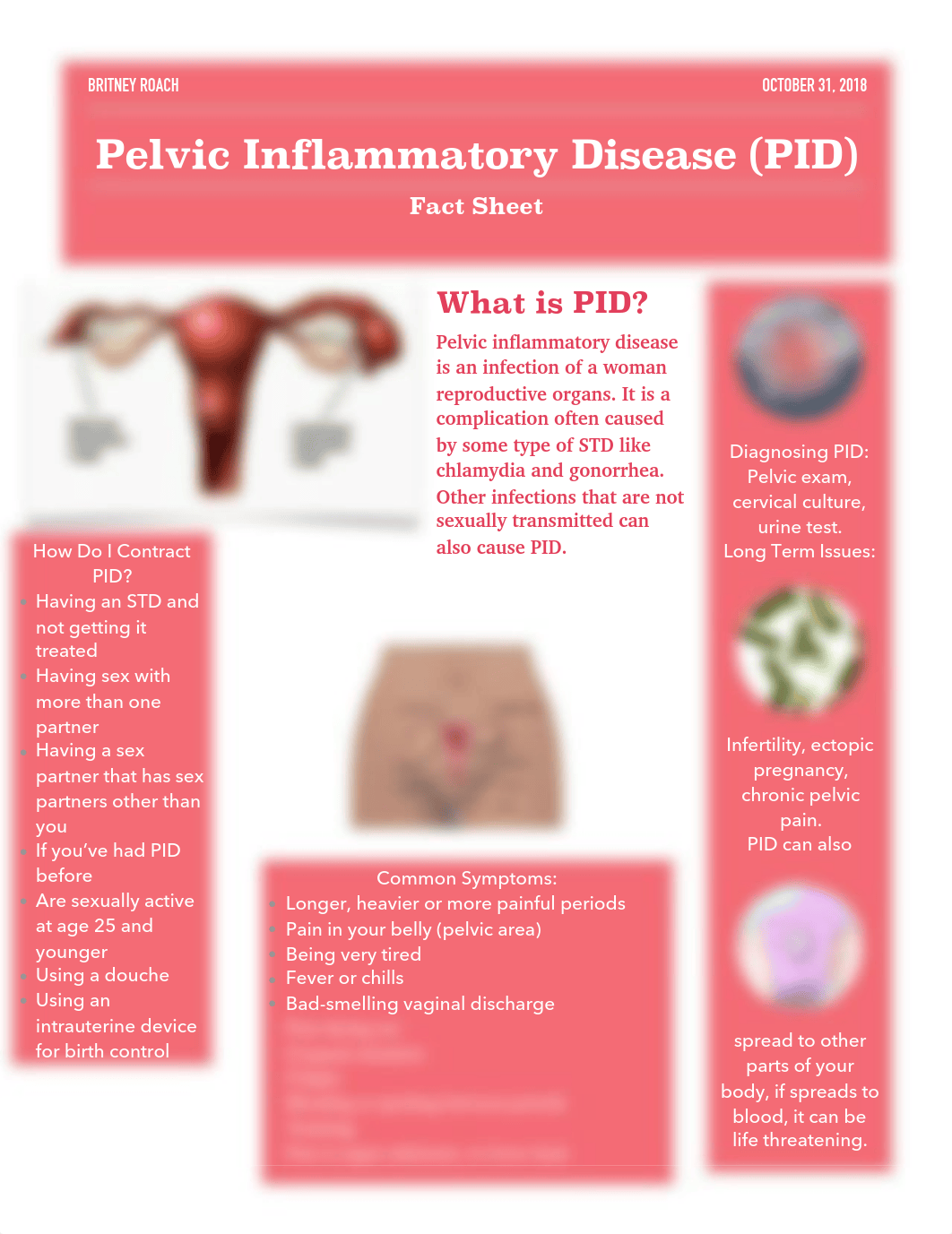 PID FACT SHEET.pdf_dd6pc32vyt4_page1