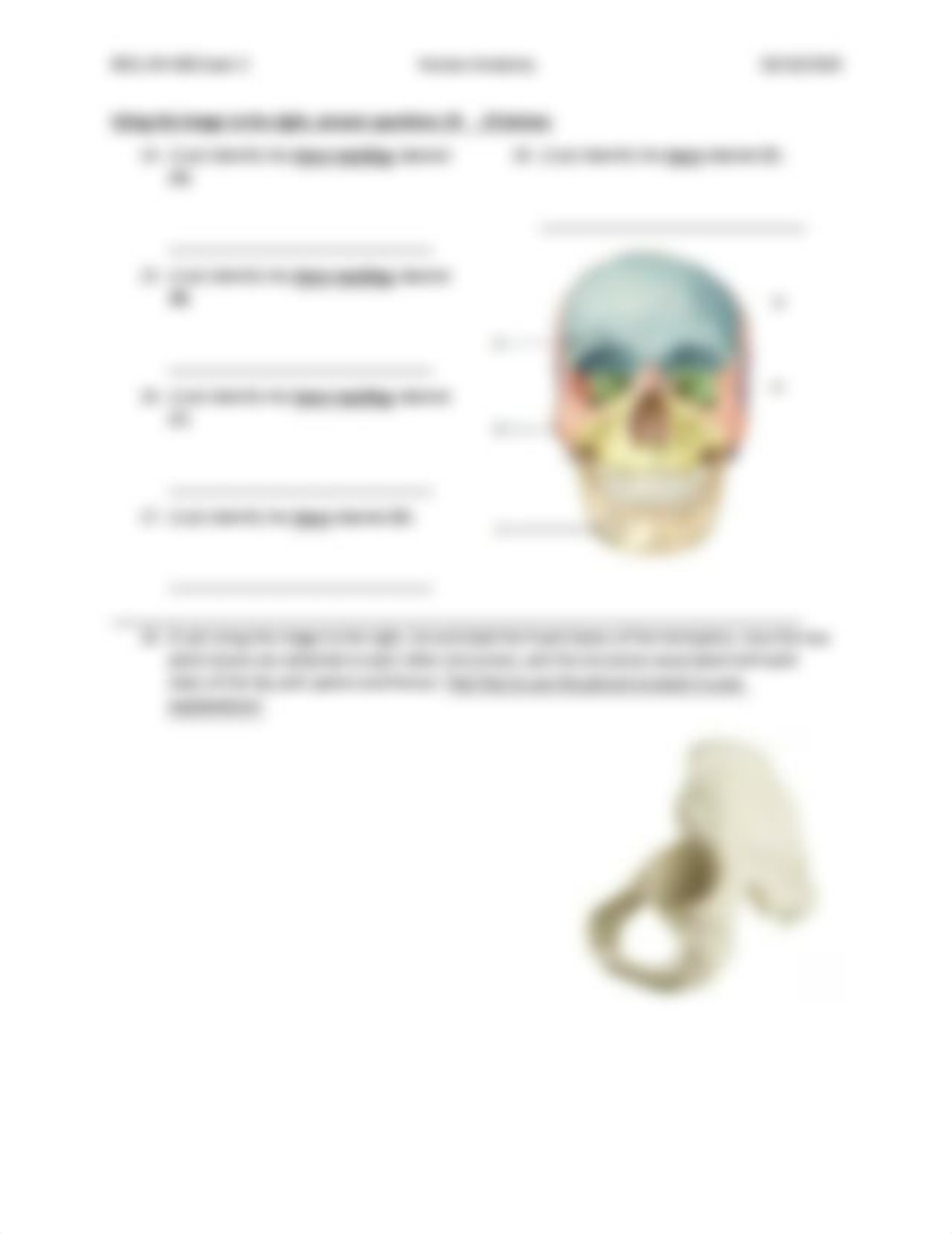 04-436 Bone and Bone marking practice questions.pdf_dd7k5ngj8cz_page3