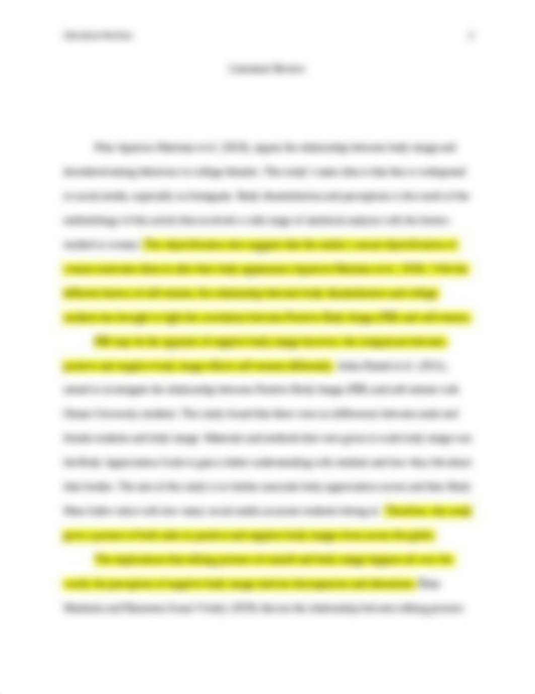 Literature Review.docx_dd7memgzei4_page2