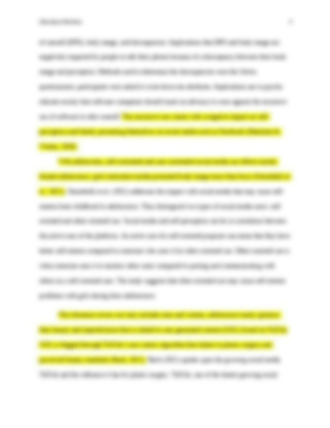 Literature Review.docx_dd7memgzei4_page3