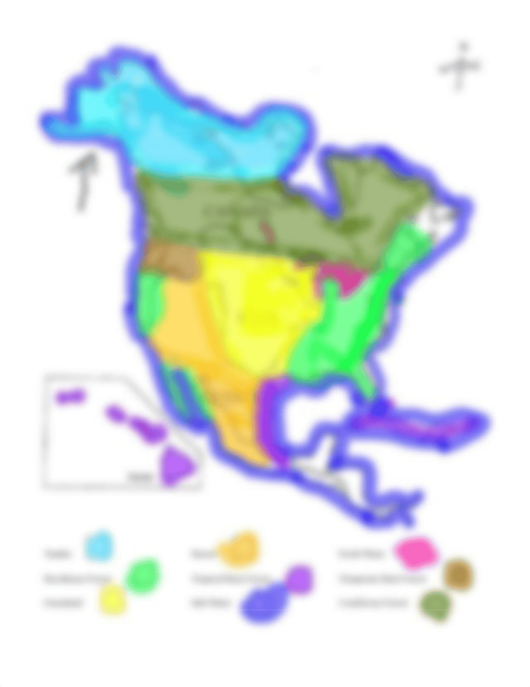 AVA NICHOLAS - North American Biomes.pdf_dd7sc87gimb_page2