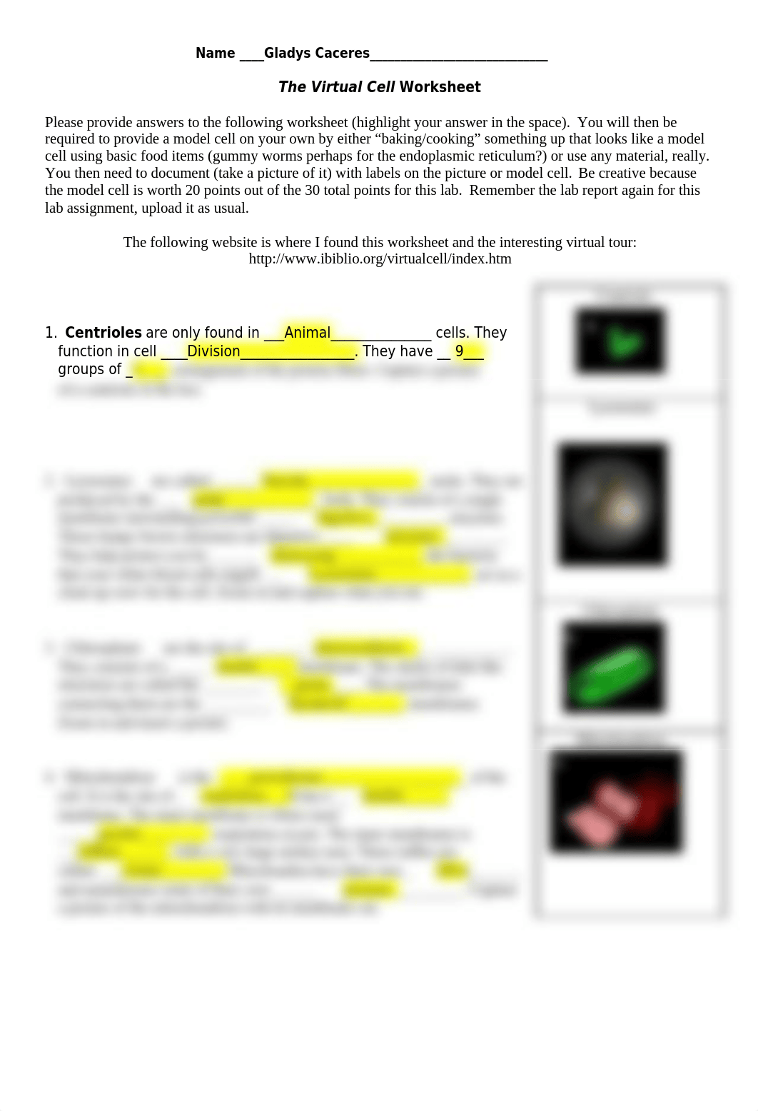 cell_lab_assignment-2_dd7zzgam1v5_page1