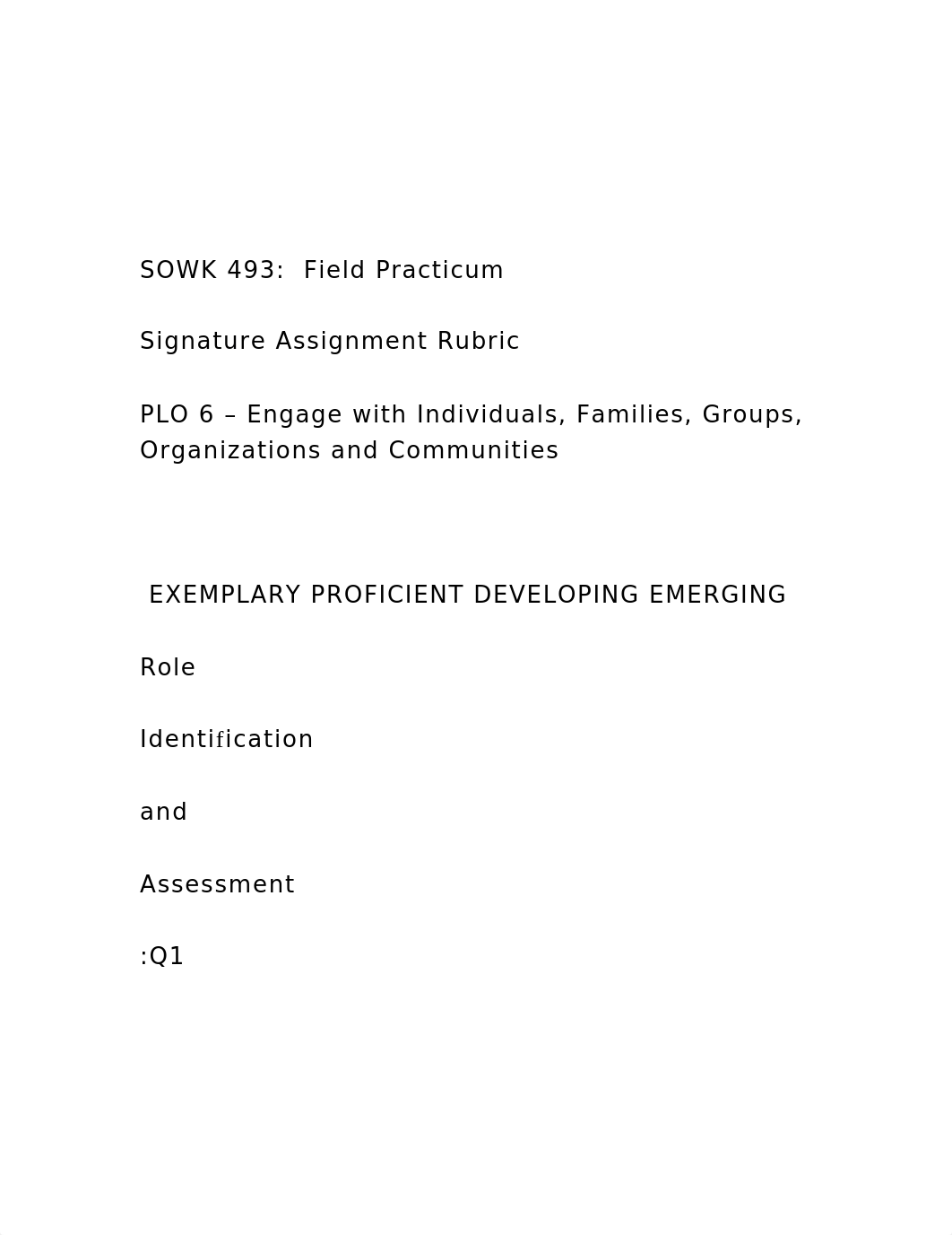 SOWK 493  Field Practicum Signature Assignment Rubric .docx_dd85j9z6efc_page2