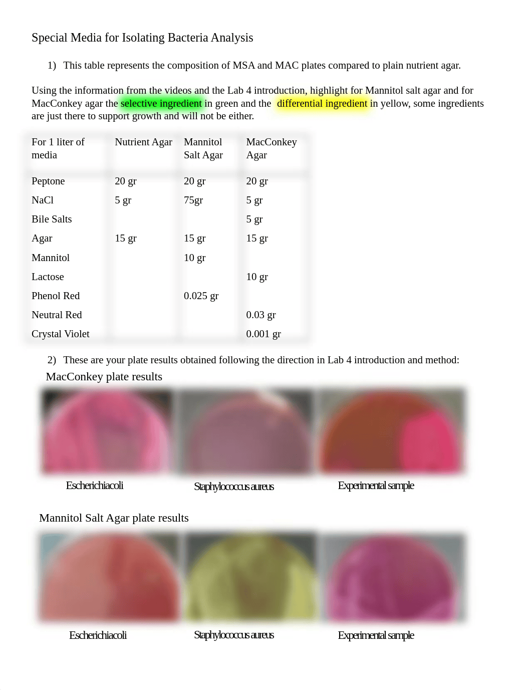 Lab 4 Differential selective analysis.docx_dd8fyl9wukf_page1