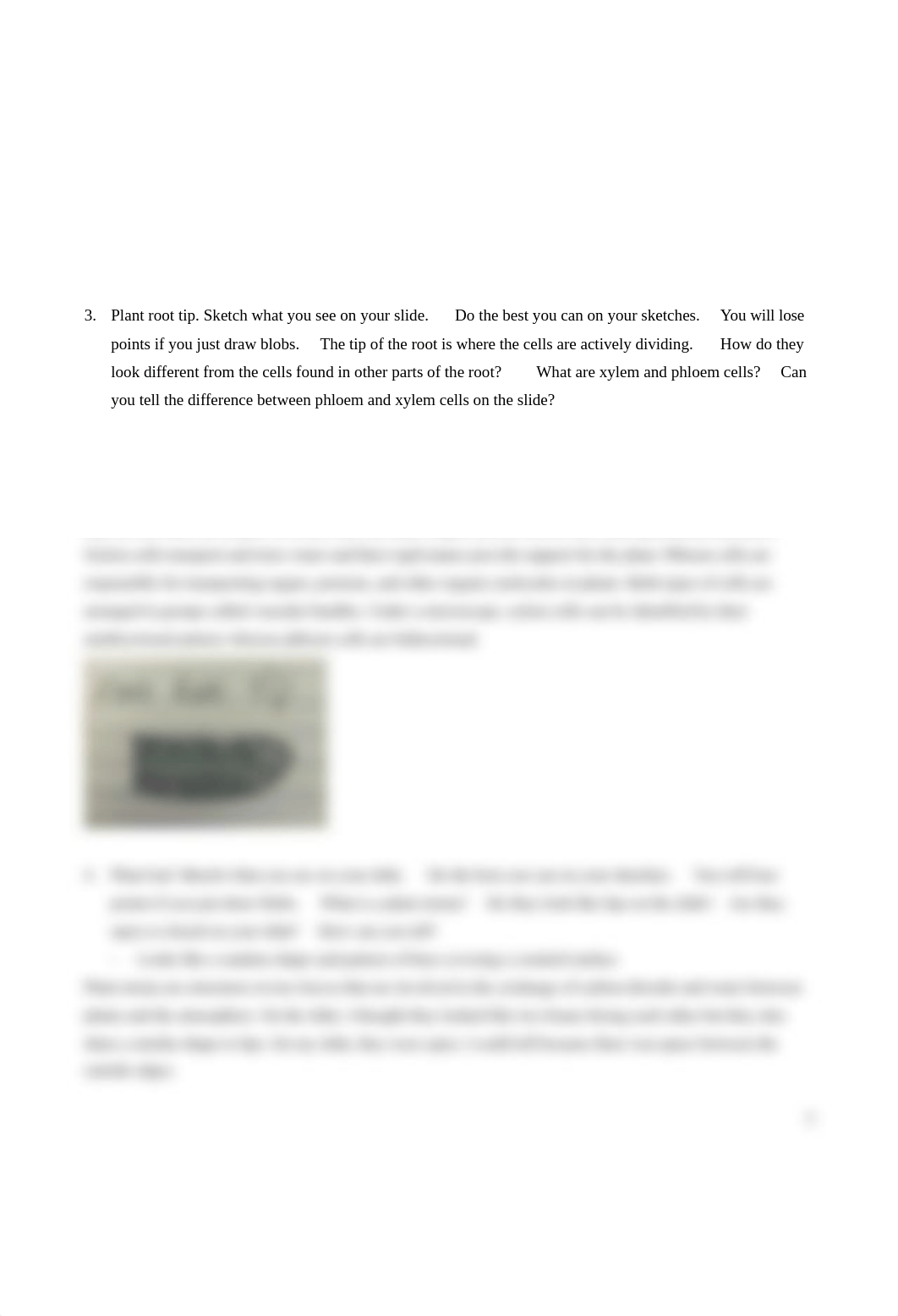 Lab4 Microscopy, Foldscope, and Cells_Report.docx_dd8x2jihcq2_page2