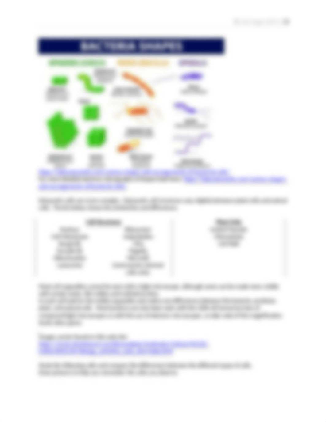 Croce Lab 5 Cell Comparison.docx_dd8yaps3mxx_page2