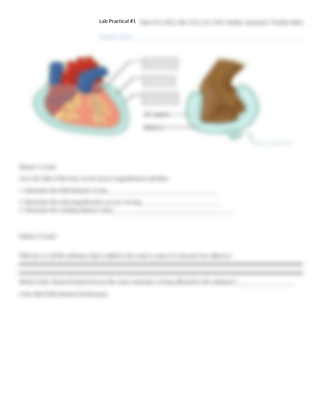 Bio 2310 Lab Practical #1.docx_dd8ye7w9e7h_page2