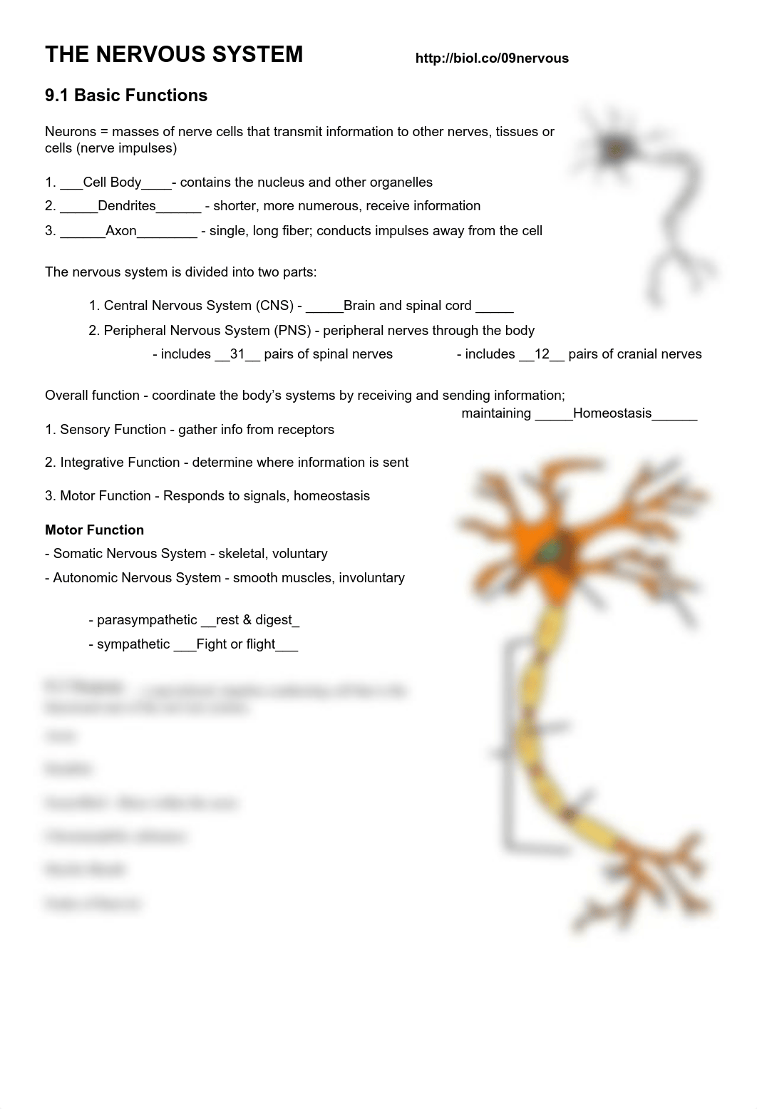 Copy of Nervous System Notes Part A.pdf_dd9aed1ub79_page1