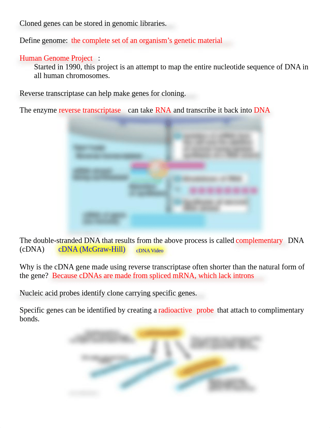 Ch. 13.4 Key DNA Technology (1).doc_dd9i40oc9gv_page3