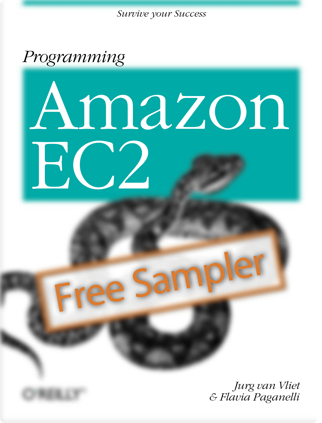 ProgrammingEC2-Chapter1.pdf_dd9lrbyc7xf_page1