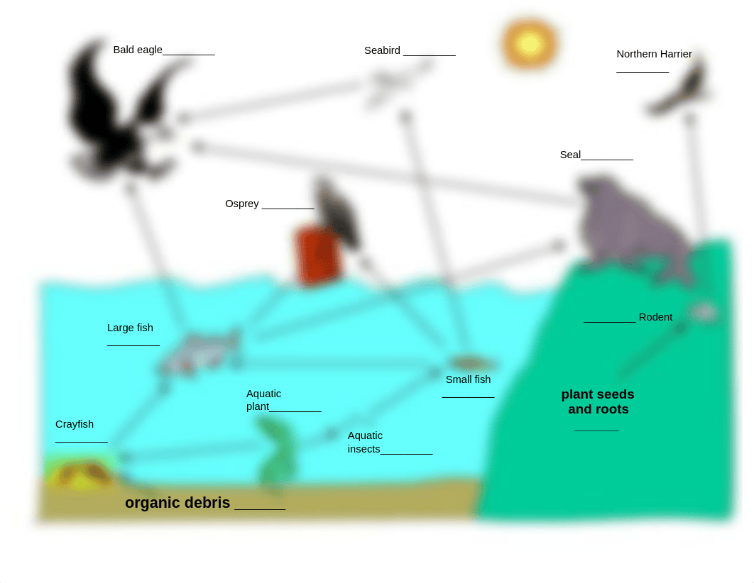 activity 2_foodweb.pdf_dd9z34b0v5s_page1