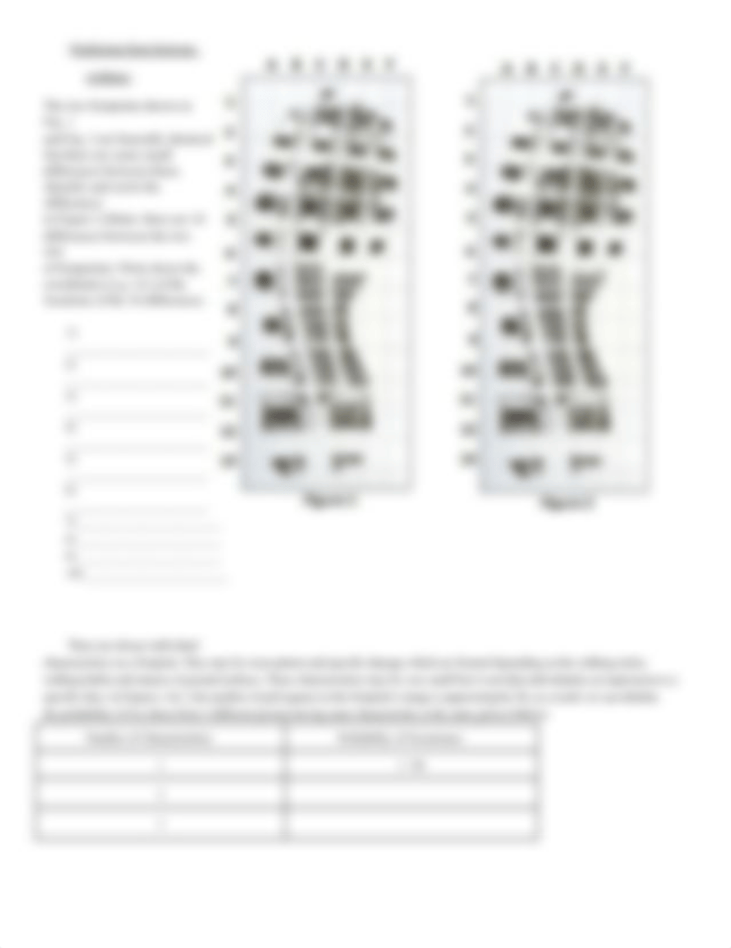 Footwear-Impression-Evidence-Worksheet.pdf_dda3grpntn0_page2