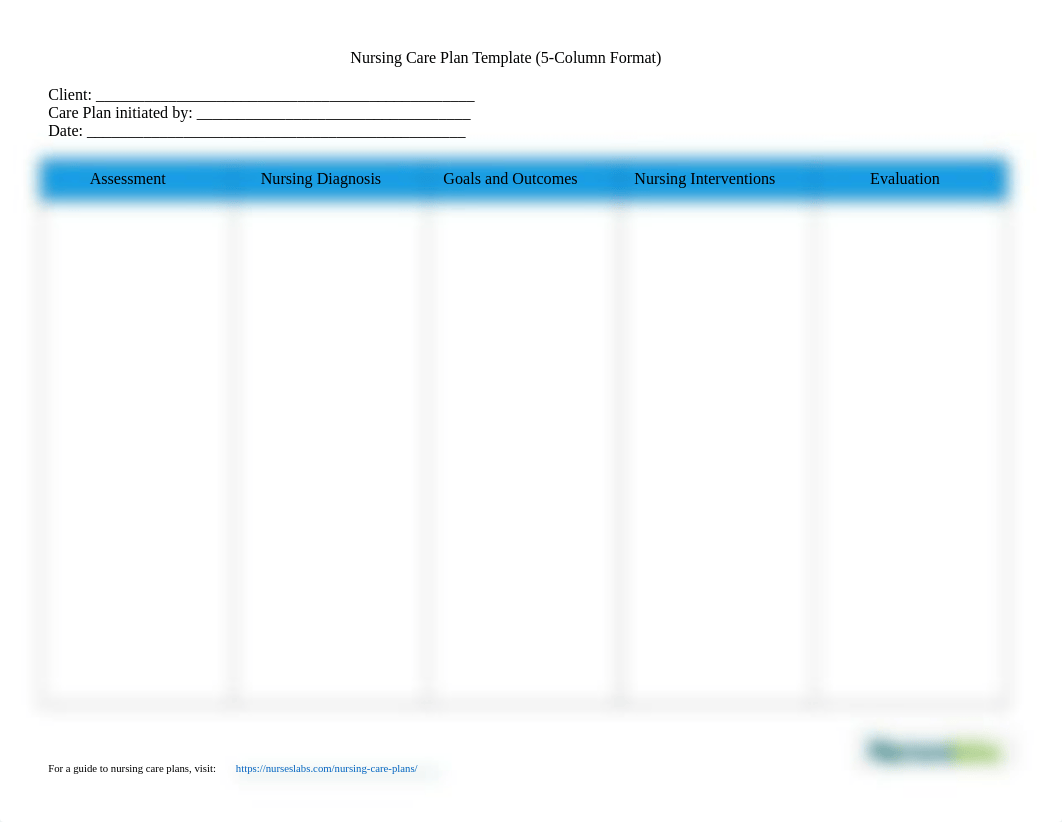 Nursing-Care-Plan-Templates-and-Formats.docx_dda4kwoqmnz_page2