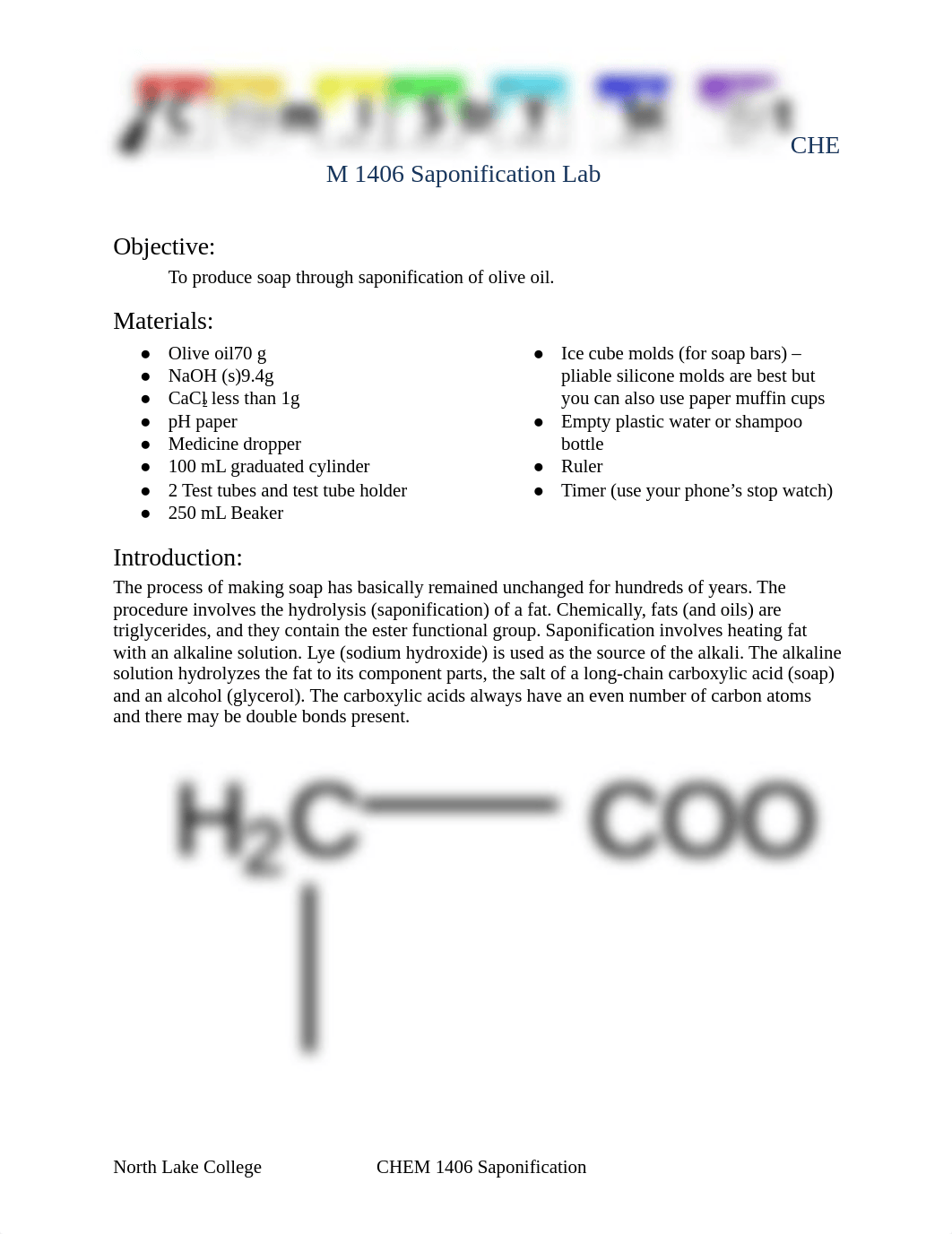 CHEM 1406 1407 CinA saponification lab 9-16-19.docx_dda9edtdmyb_page1