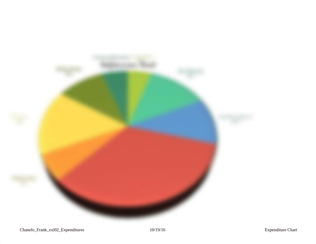 Chanelo_Frank_exl02_Expenditures_ddaf9t0n0wh_page1