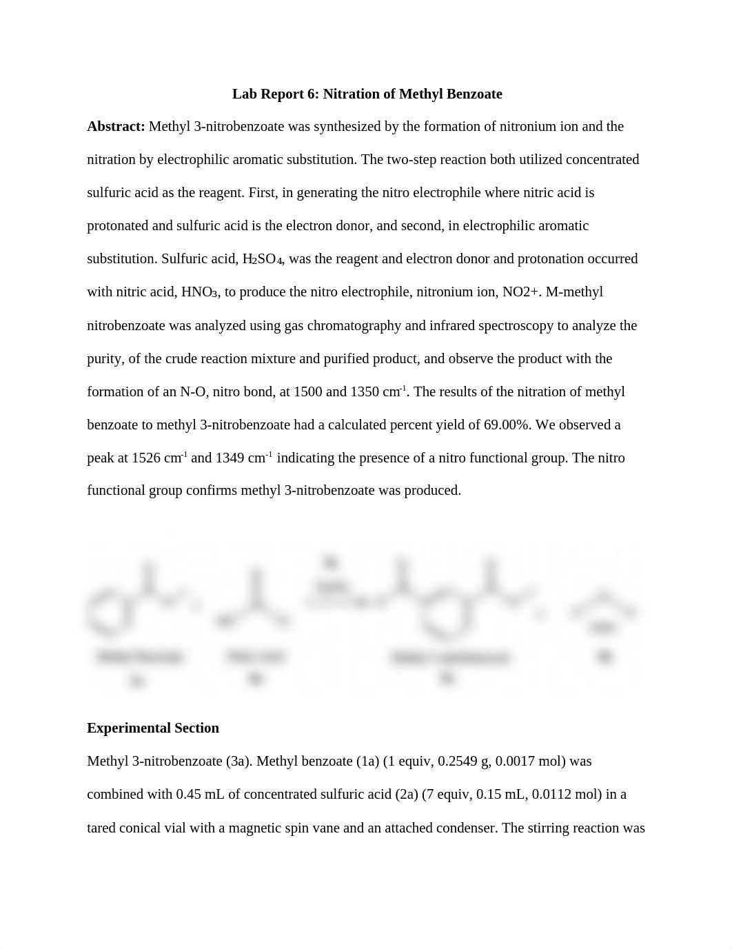 Lab Report 6.docx_ddam1hvnra5_page1