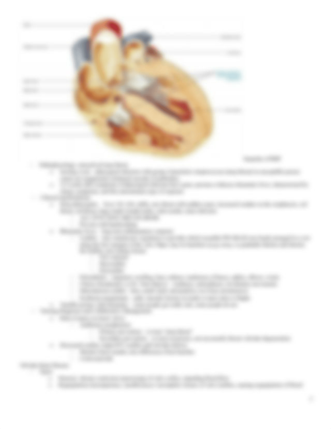 acute exam 2 study guide .docx_ddao4qpmncc_page3