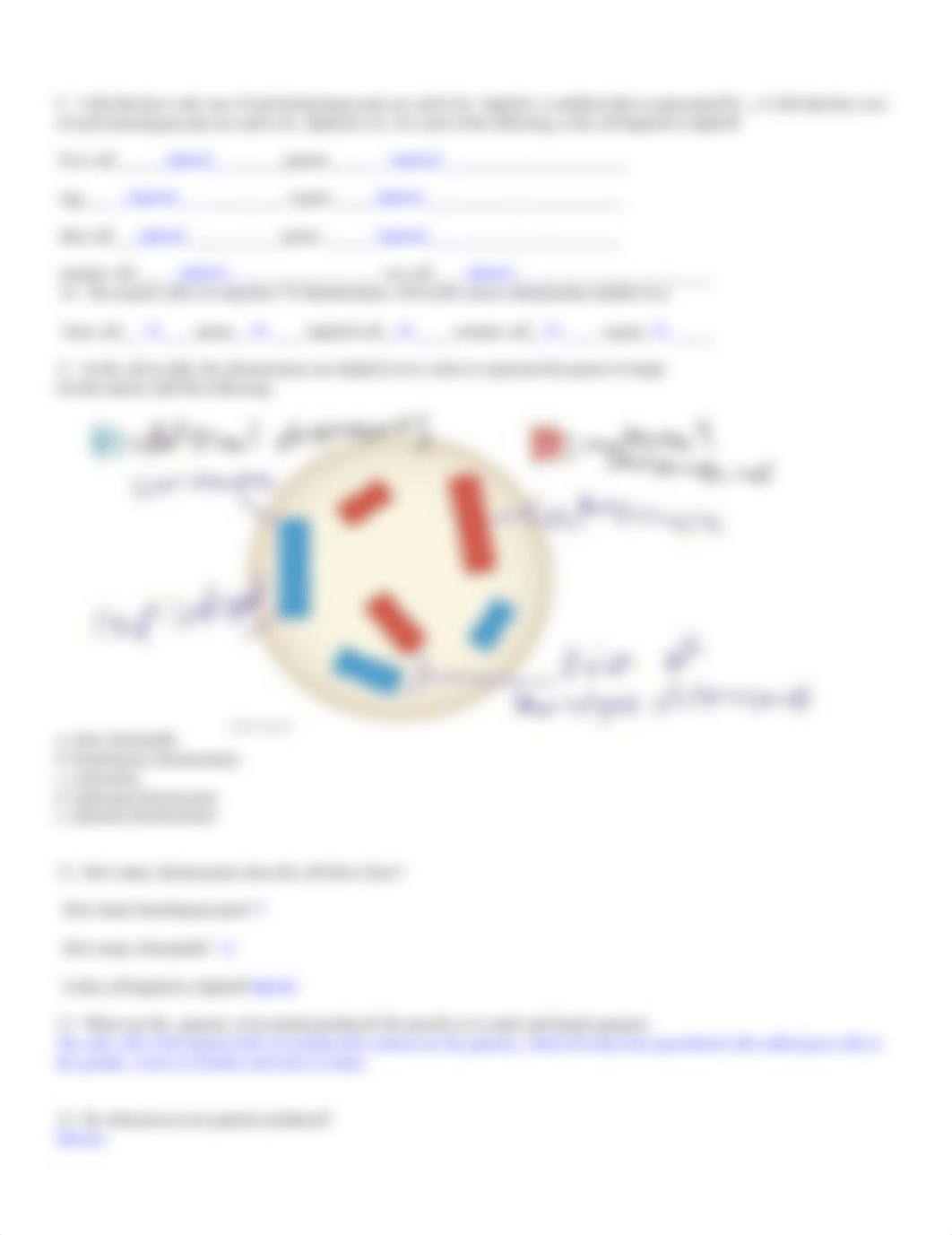 Ch13Meiosis_ddatdsv04h2_page2