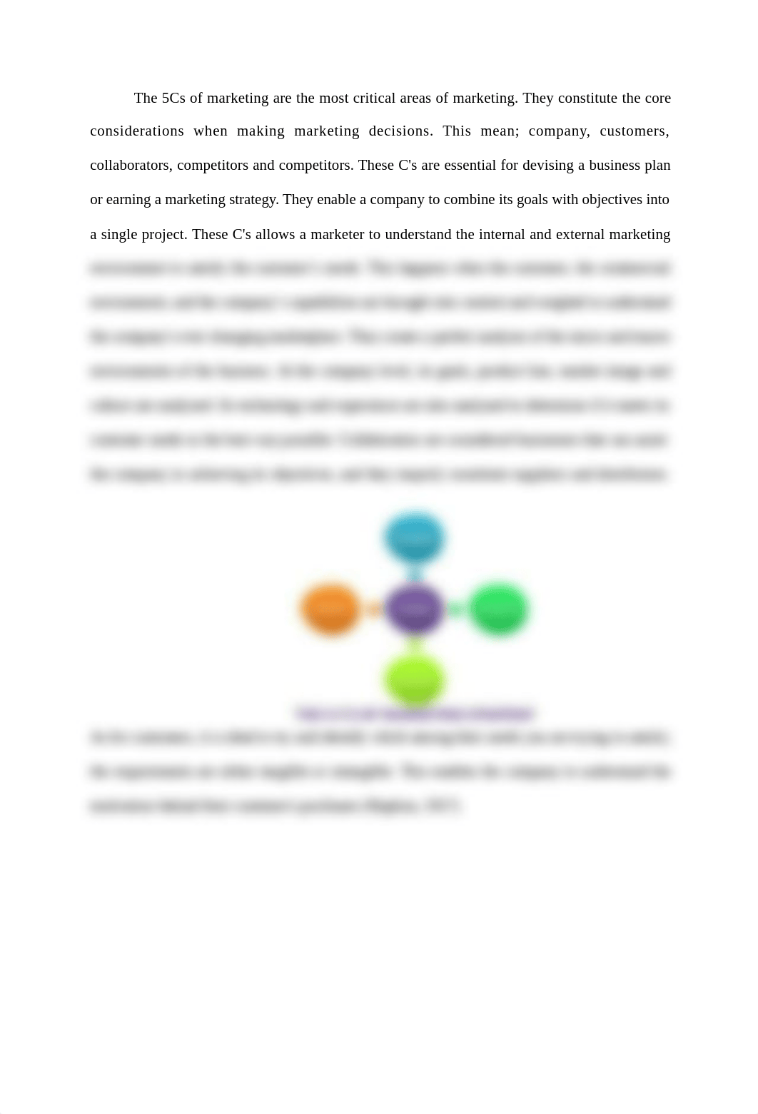 The Marketing Framework 5Cs, STP, and 4PCs.docx_ddax8xxoi04_page3