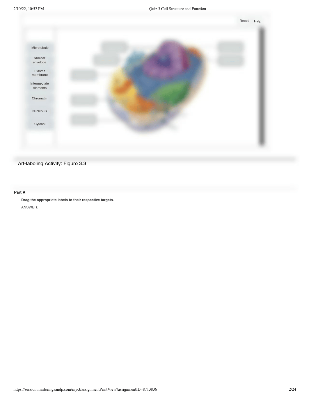 Quiz 3 Cell Structure and Function.pdf_ddayj49633h_page2