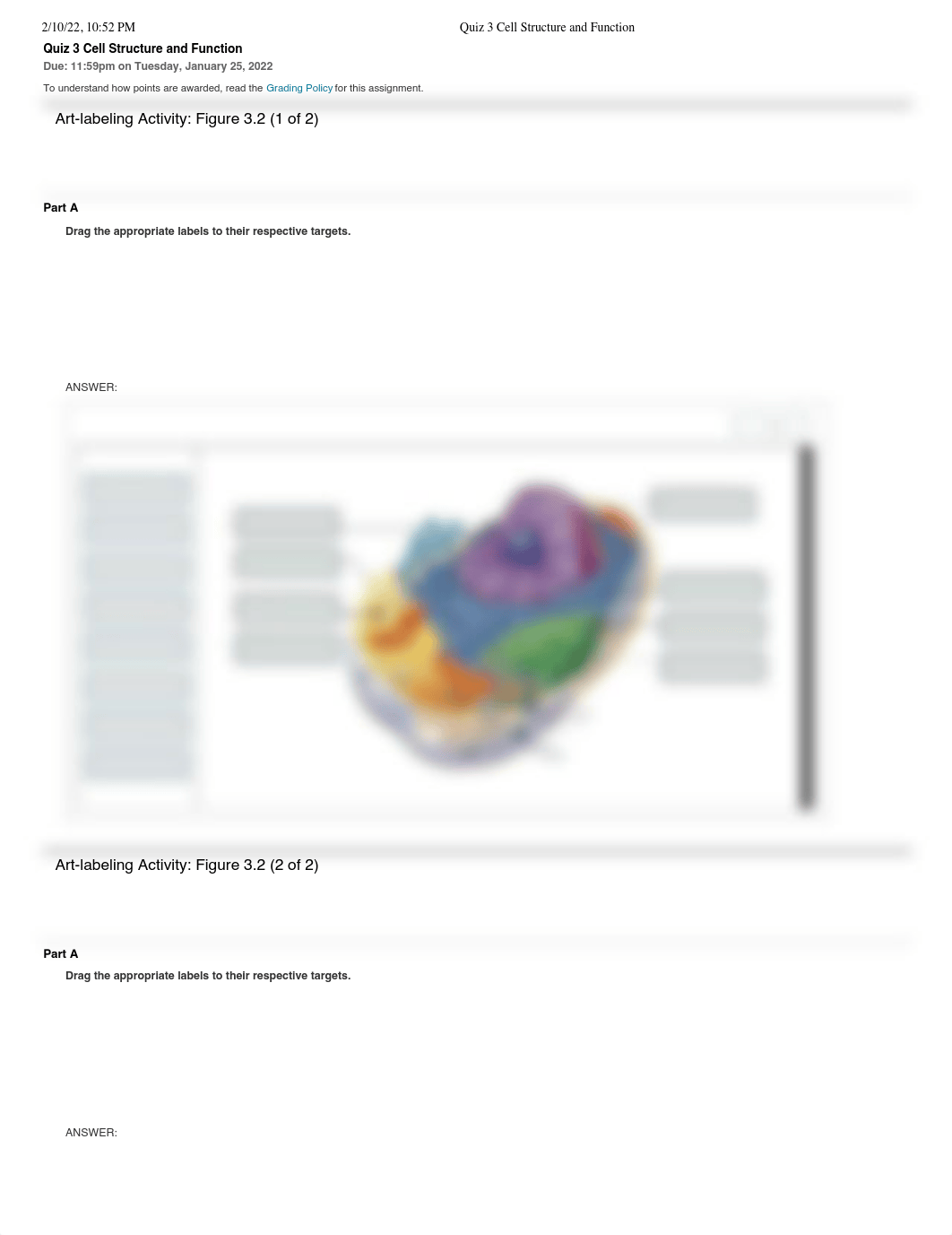 Quiz 3 Cell Structure and Function.pdf_ddayj49633h_page1