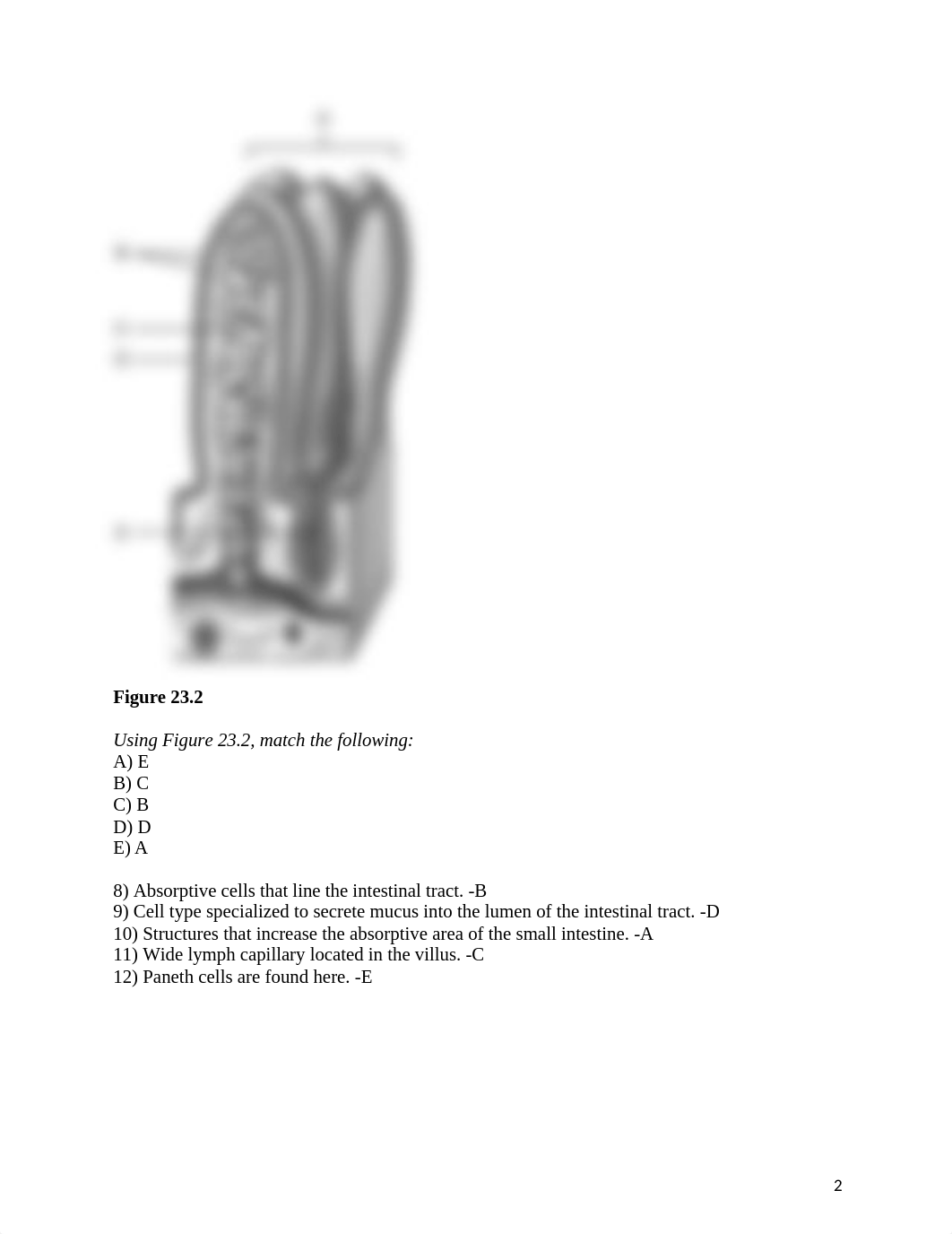 ch_23_worksheet.answers.docx_ddb61qf3sop_page2