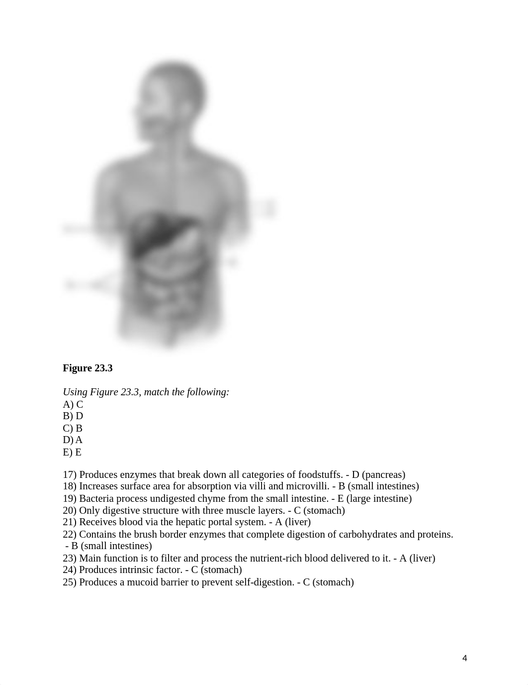 ch_23_worksheet.answers.docx_ddb61qf3sop_page4