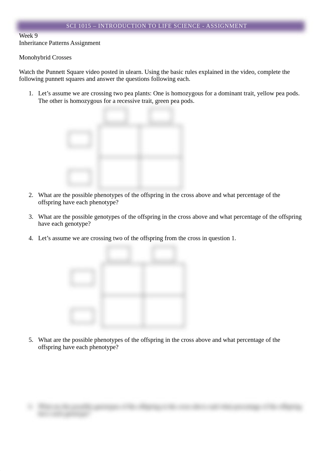 SCI1015 Punnett Squares Mathis Roni.docx_ddb8krhiirc_page1