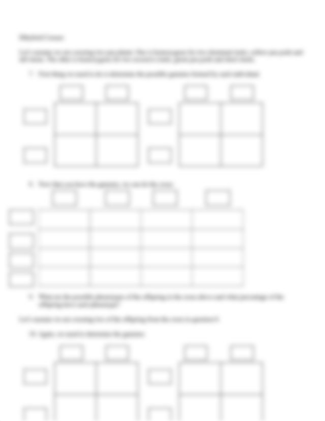 SCI1015 Punnett Squares Mathis Roni.docx_ddb8krhiirc_page2