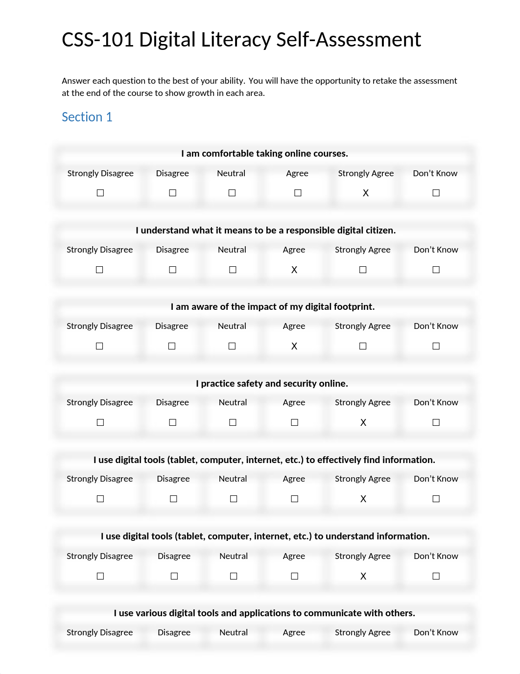 Digital Literacy Self Assessment.docx_ddbdzm9xe73_page1