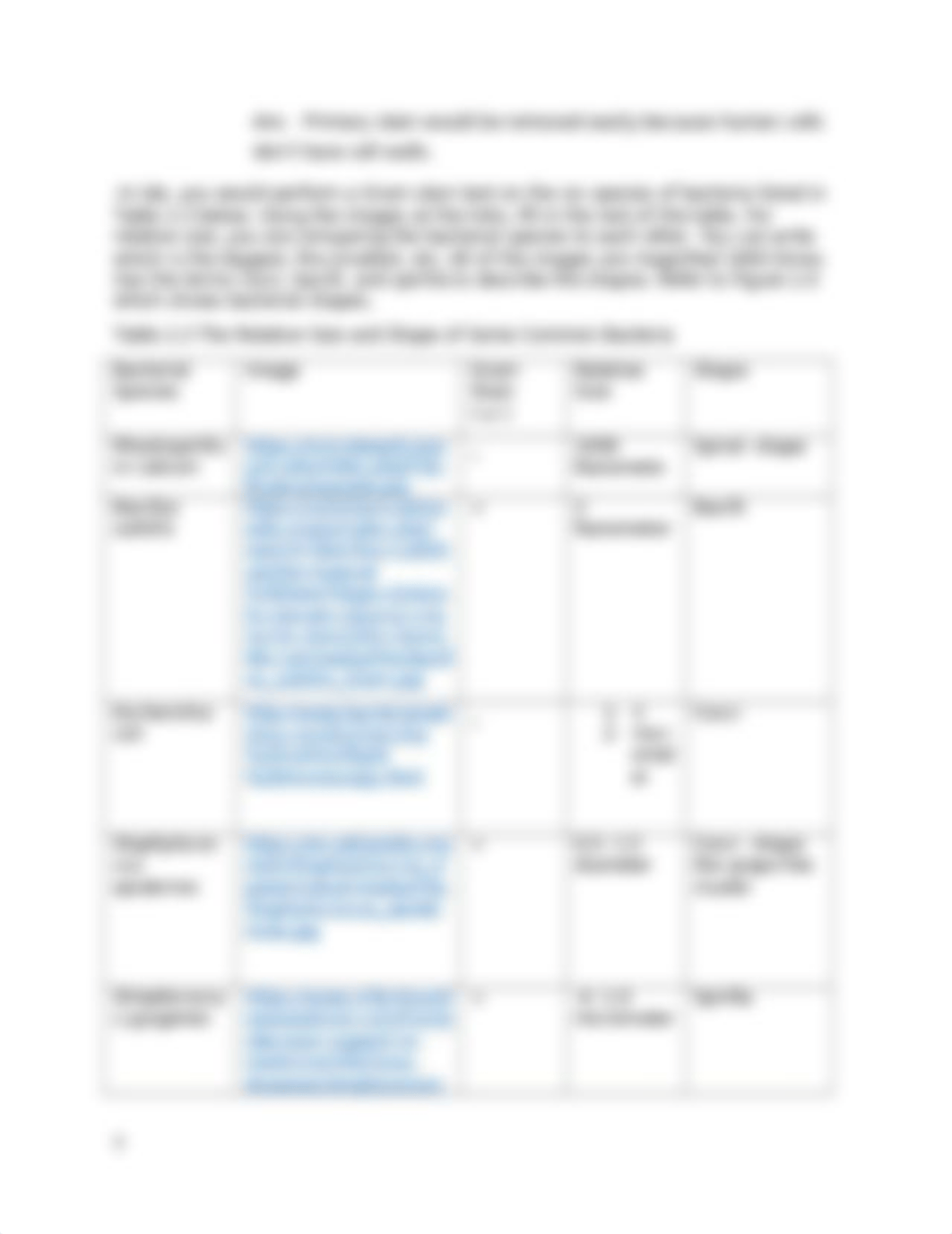 Biology 1114 Lab 2 Prokaryotes.docx_ddbi6vsjgvp_page3