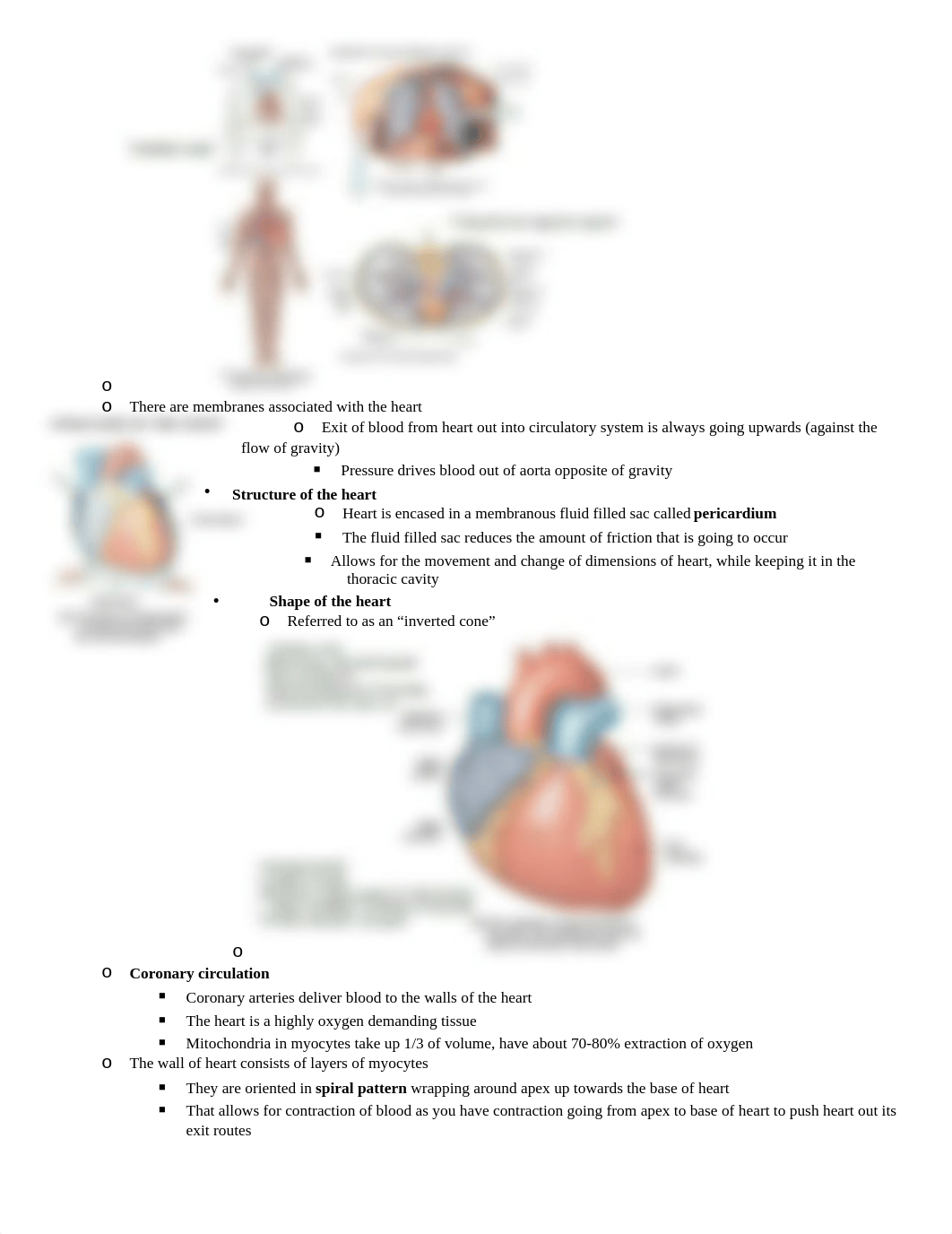 Exam 4 - Rich_ddbkct3i8vh_page3