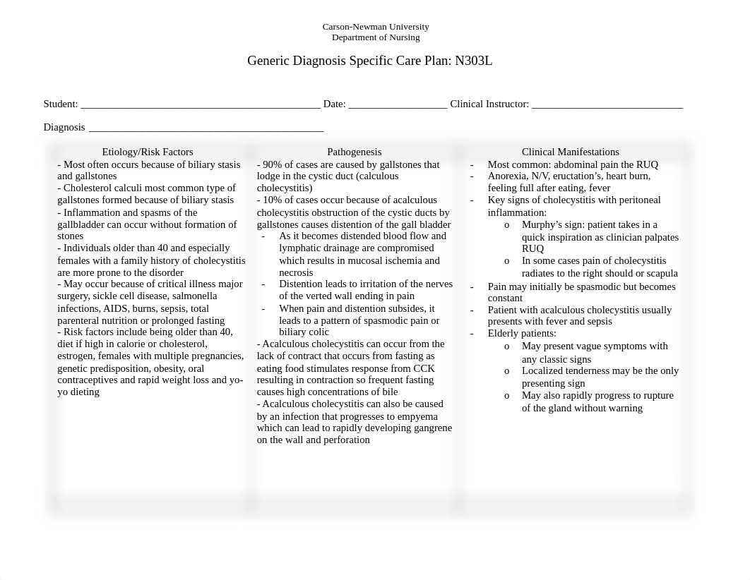 Care Plan 1- Cholecystitis .docx_ddbv3cx6ywc_page1